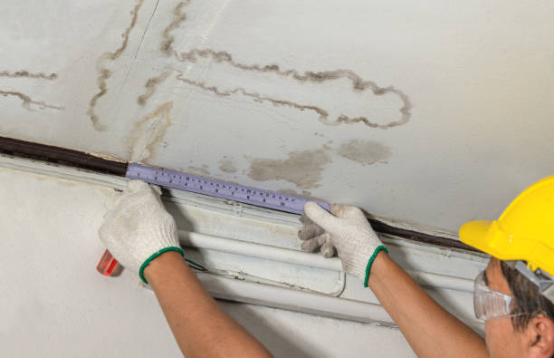 Reliable Basement Water Removal contractor in Columbus, OH by Water Damage Irwin